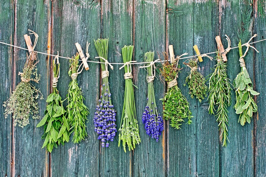 erbe-aromatiche