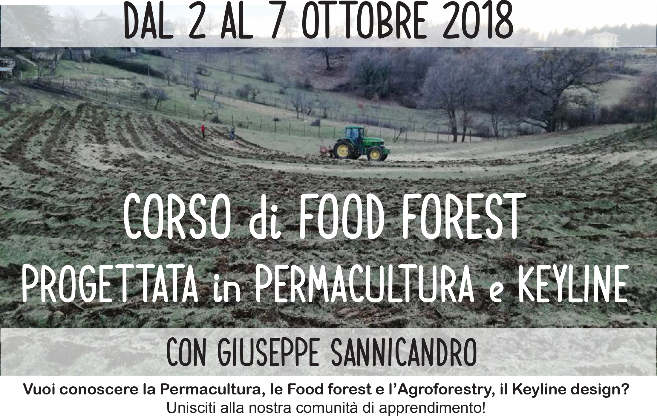 food forest