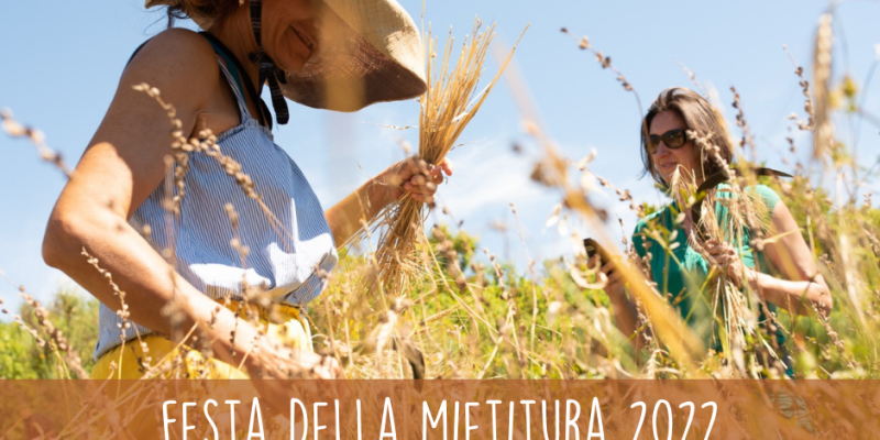 festa-della-mietitura-2022