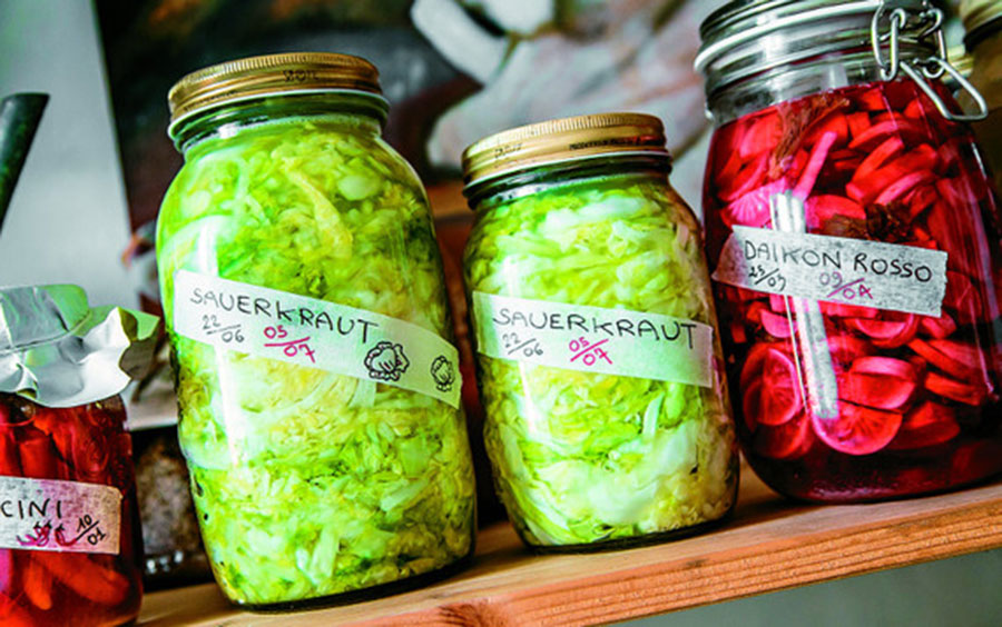 fermentati