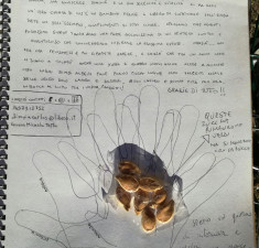 guestbook_08