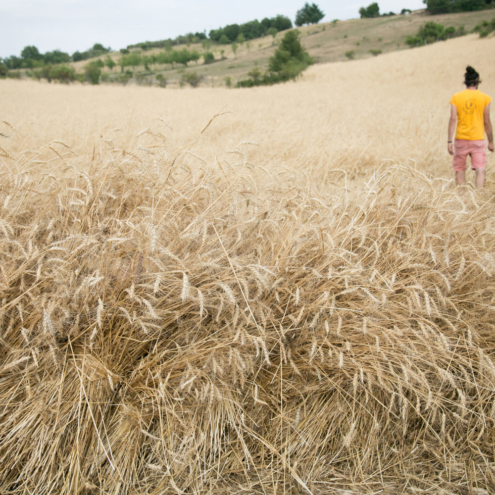 Foto Louise Verdier