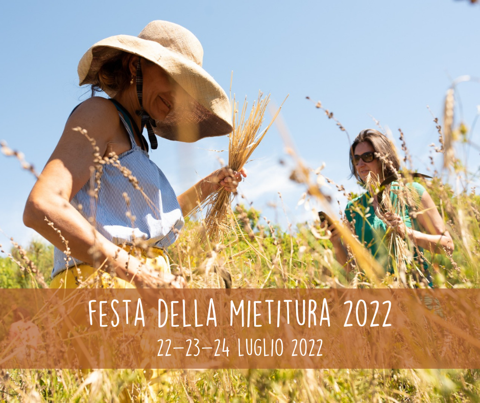 festa-della-mietitura-2022